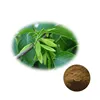 Eucommia leaf extract Chlorogenic Acid 98% 99% (327-97-9)/chlorogenic acid in bulk/chlorogenic acid sources