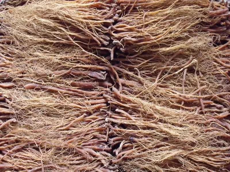organic korean red ginseng root 4