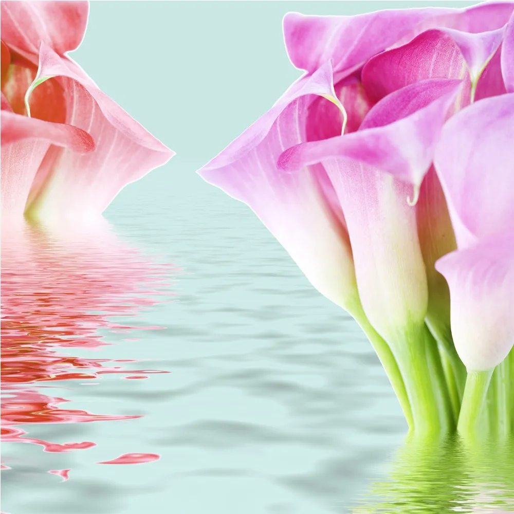 Digital Printing Mural Lily Merah Muda Bunga 3d Alam Besar Hd Foto