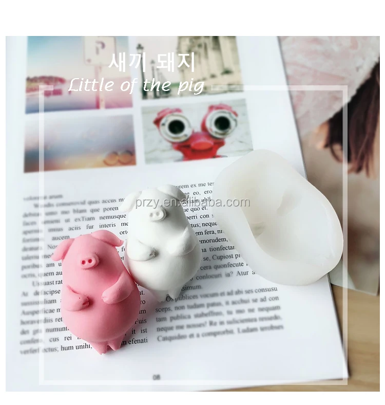 3D cute pig molds1.jpg