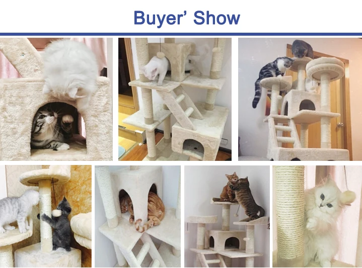 buyer's show