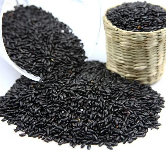 Rice extract. Rice extract