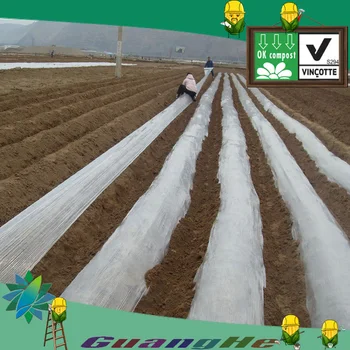 plastic agriculture biodegradable eco friendly film mulch larger