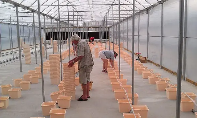 aquaponics growing systems hydroponics dutch bucket - buy