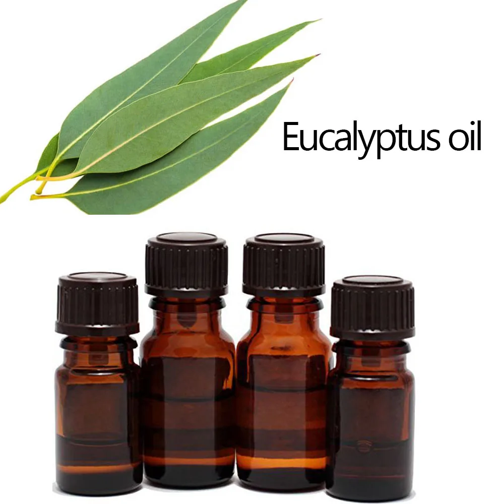 Bulk Eucalyptus Oil Highest Quality Therapeutic Grade100% Pure And ...