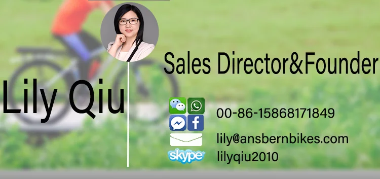 electric mountain bike bicycle