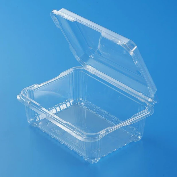 Plastic Fruit Clamshell Disposable Strawberry Container Buy Plastic