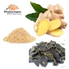 instant water soluble ginger powder gingerol black root ginger extract
