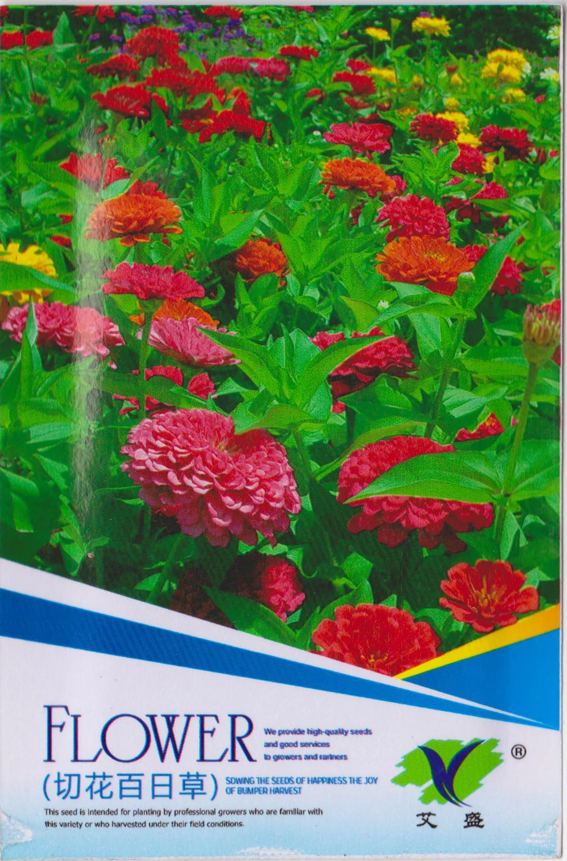 Fl01 2018 New Rose Flower Seeds Different Type Of Flower Seeds For Sale