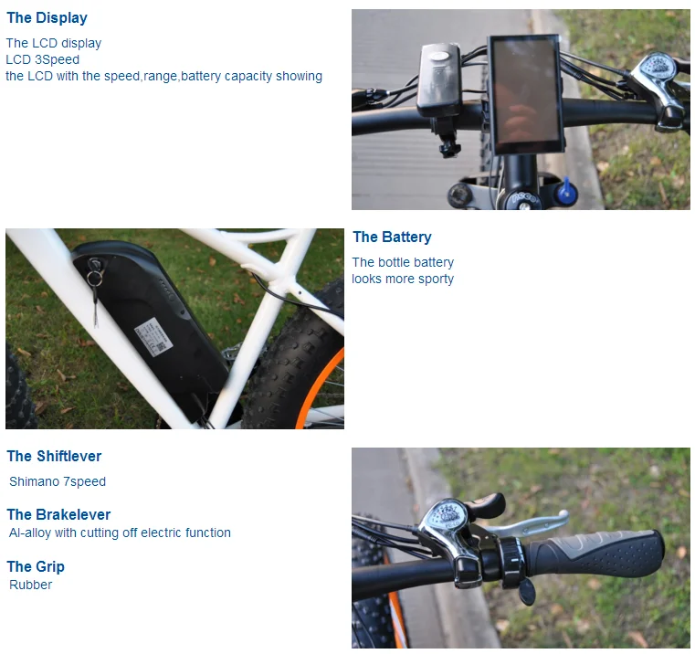 ecycle in egypt