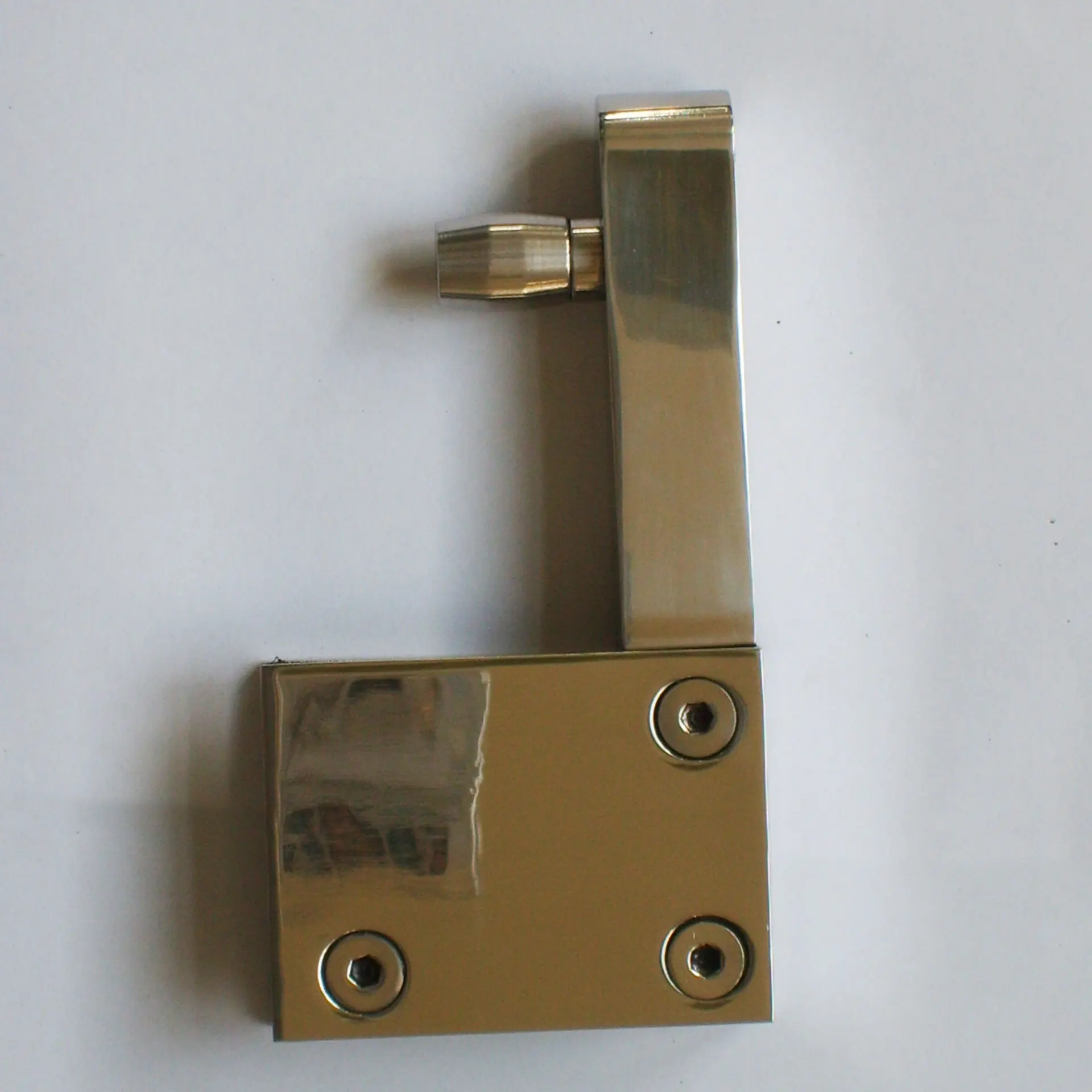 דלת זכוכית pivot 