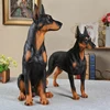 Hot Selling Real Doberman Dog Animal Decoration Model Resin Crafts Sculpture Decoration For Sale