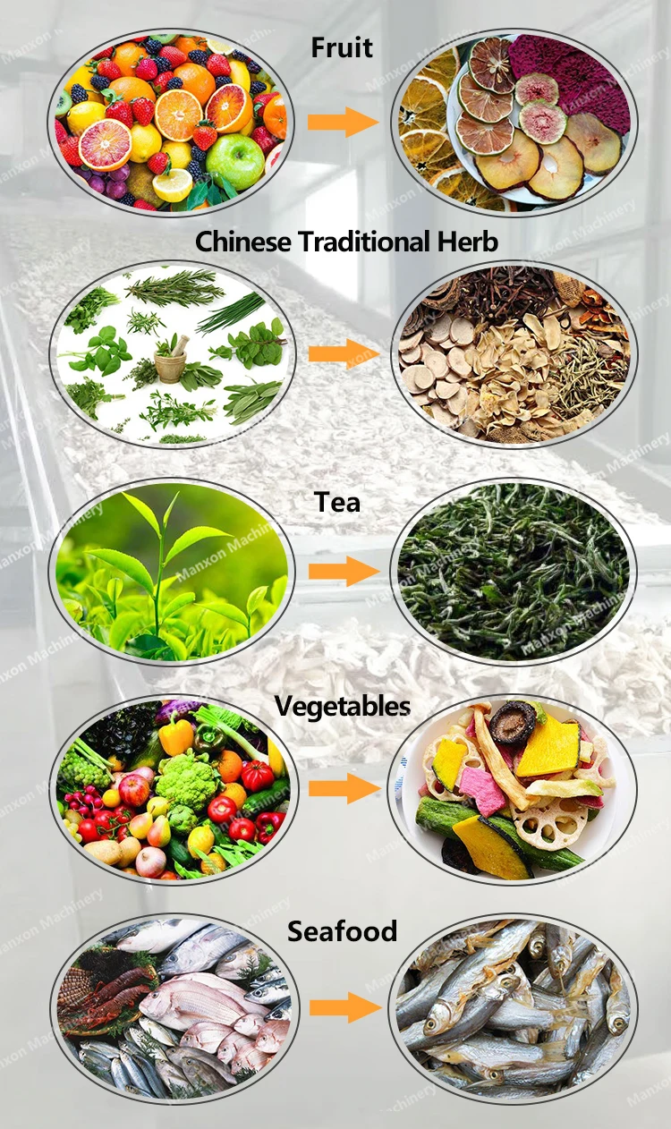 Belt Conveyor Mesh Belt Dryer