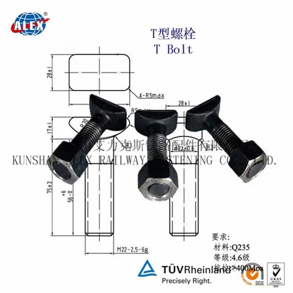 grade 8.8 t bolt/ black oxide t bolt in Kunshan