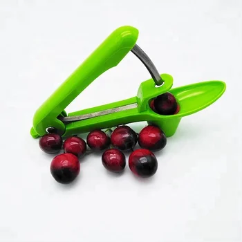 Amazon Kitchen Accessories Kitchen Tools Stainless Steel Cherry Pitter