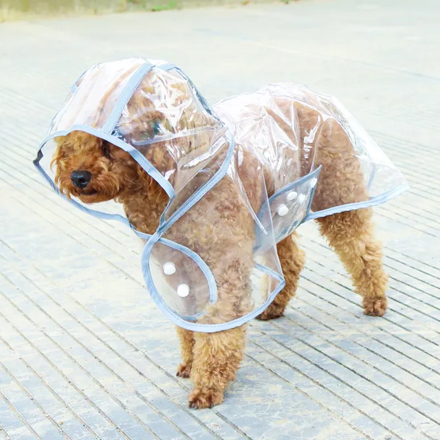 Fashion Reflective Pet Dog Raincoat With Hood Poncho Eco Waterproof Puppy Jacket Pet Rain Gear Clothes For Small Dogs Cats Buy Pet Dog Raincoat Waterproof Dog Raincoat Cat Rain Coat Puppy Jacket Pet Rain Gear Clothes For Small Dogs Cats Fashion Reflective Pet Dog Raincoat With Hood Poncho Eco Waterproof Puppy Jacket Pet Rain Gear Clothes For Small Dogs Cats Buy Pet Dog Raincoat Waterproof Dog Raincoat Cat Rain Coat Puppy Jacket Pet Rain Gear Clothes For Small Dogs Cats