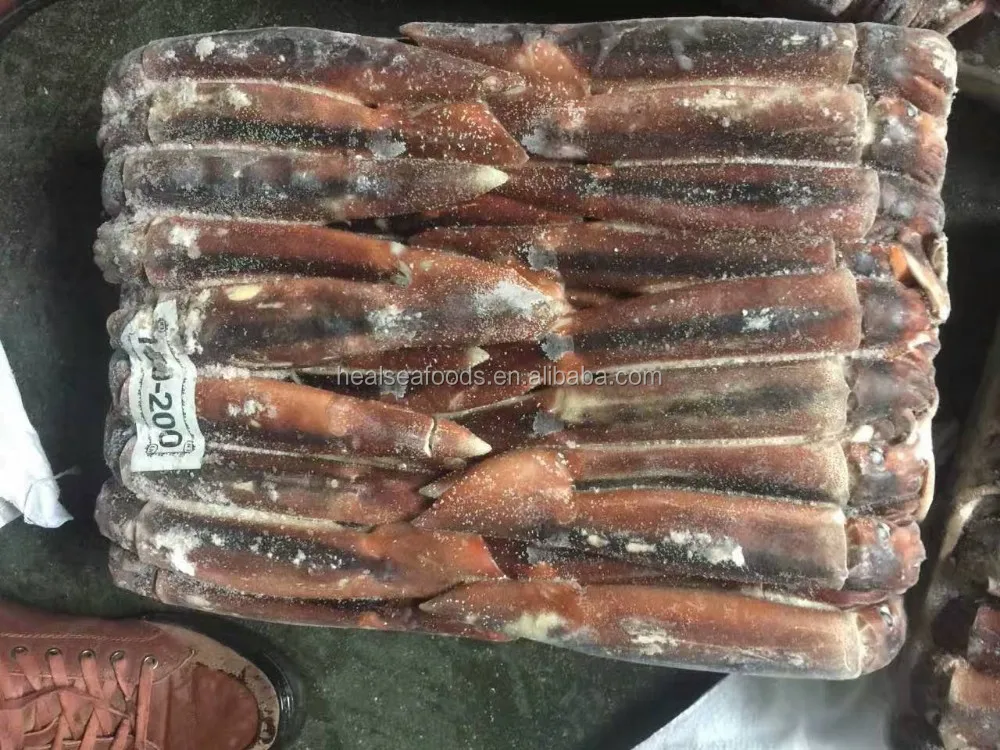 Light Catching Sea Frozen Squid For Bait - Buy Squid,Squid For Bait