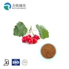 Low blood pressure Hawthorn berry extract /Hawthorn Extract /Hawthorn powder