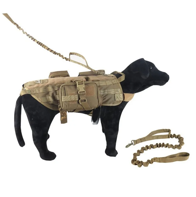 Yuksek Kaliteli Ozel Naylon Askeri Taktik Bungee Halat Geri Cekilebilir Kopek Egitim Tasma Buy Kopek Egitim Tasma Kopek Kopek Tasma Product On Alibaba Com Yuksek Kaliteli Ozel Naylon Askeri Taktik Bungee Halat Geri Cekilebilir Kopek Egitim Tasma Buy Kopek Egitim Tasma Kopek Kopek Tasma Product On Alibaba Com