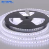 AC 220V 230V high strip light 50M long no voltage lost safe for outdoor lights