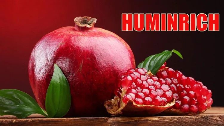 Humic Acid Fertilizer Thailand.jpg