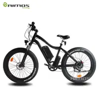 bofeili electric bike
