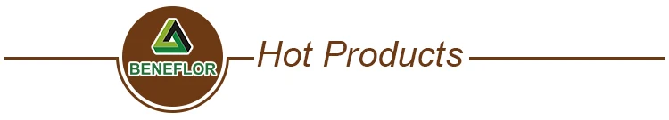 hot-products---_01