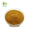 Good Quality Natural Seabuckthorn Extract with Seabuckthorn Flavone 30%