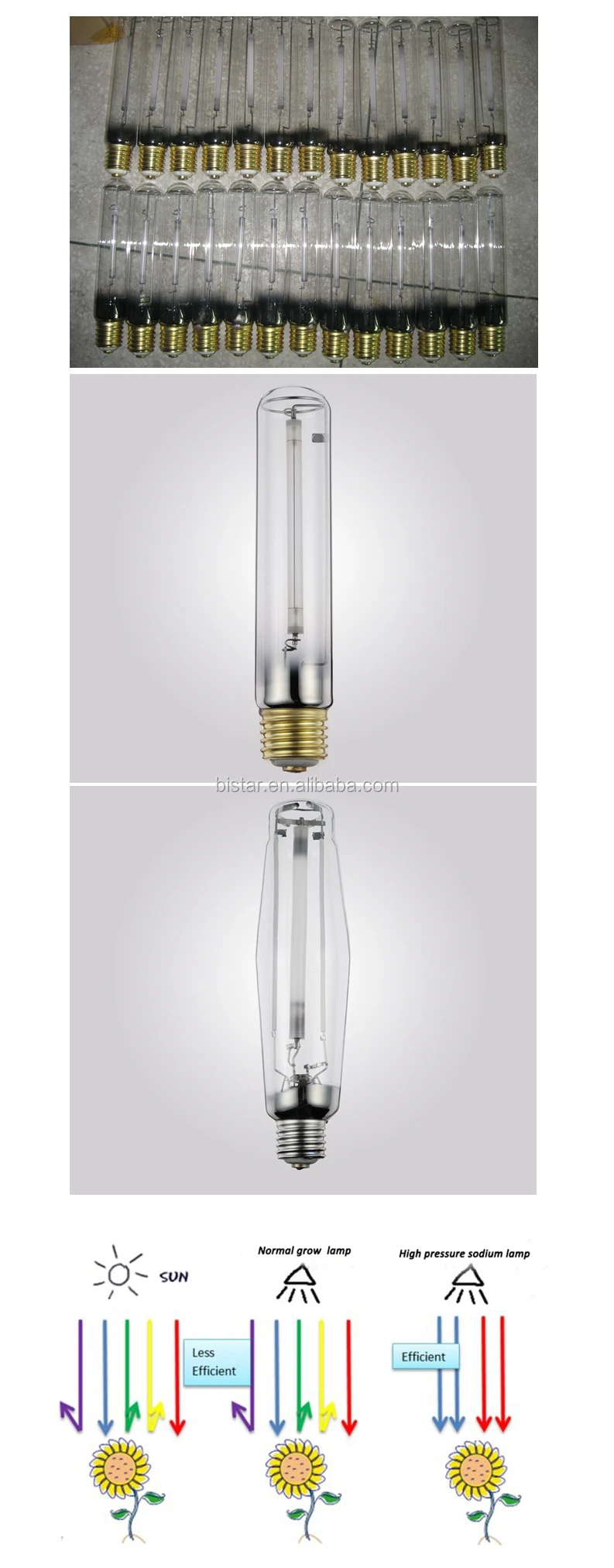 Buy Greenhouse Lighting Plasma Grow Light,Hps Grow Light,Led Grow ... for Plasma Grow Light
545xkb Buy Greenhouse Lighting Plasma Grow Light,Hps Grow Light,Led Grow ... for Plasma Grow Light
545xkb