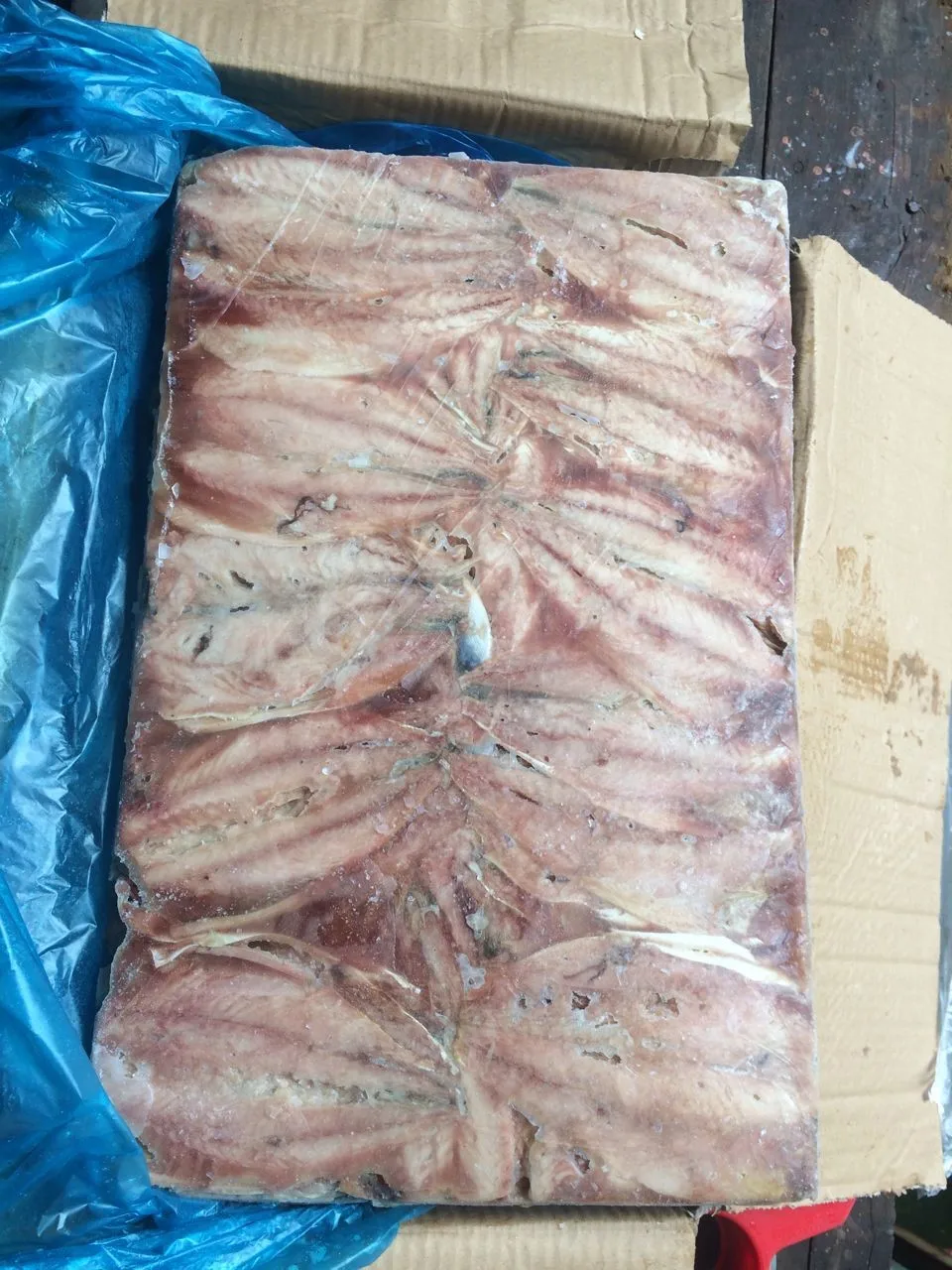 冷冻鲭鱼蝴蝶鱼片鲭鱼皮瓣