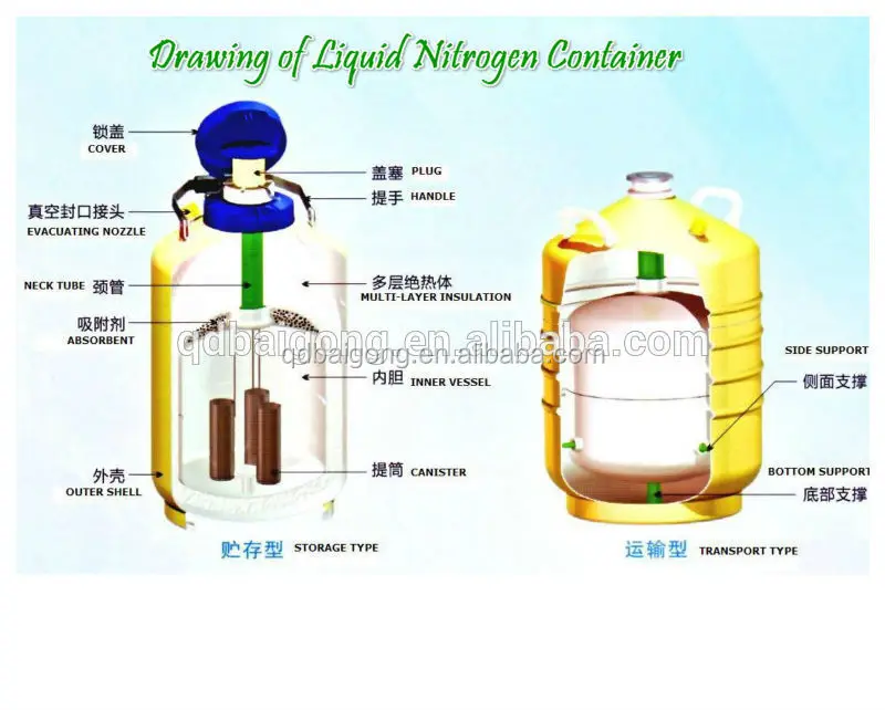 Portable Liquid Nitrogen Container Tank Ln2 Dewar Flask 6l Buy Liquid