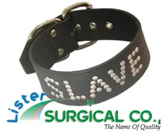 sex slave collars Sex slave collars