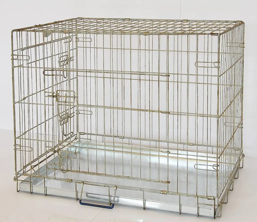 Steel Pet Display Cage Squirrel Cage Buy Pet Squirrel Cage,Pet