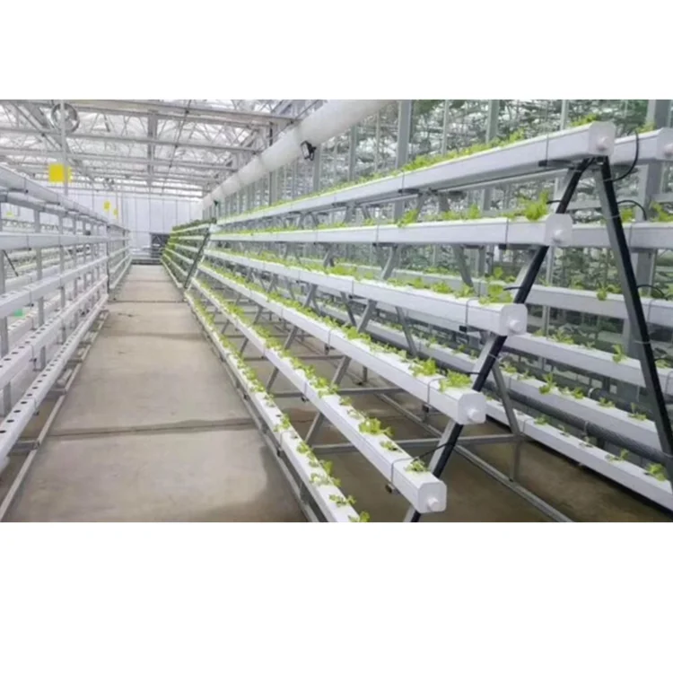 Hydroponic Grow Cabinet Green House Commercial Hydroponic Systems