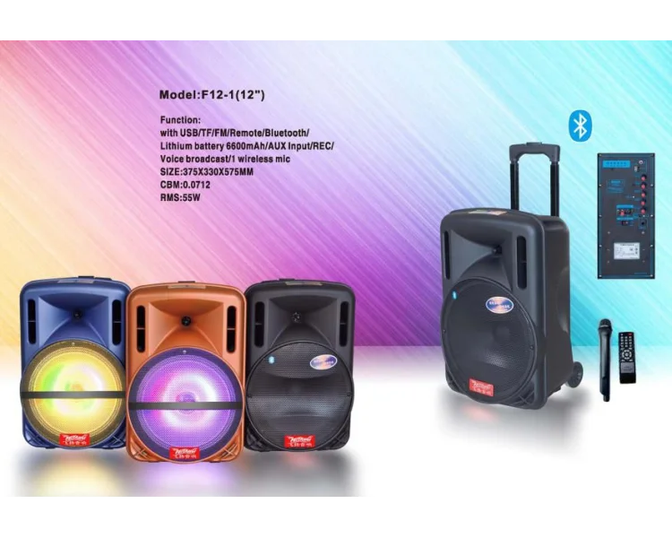 Temeisheng Speaker Hot Sell 12 Inch Speaker Box Design Model F12 1