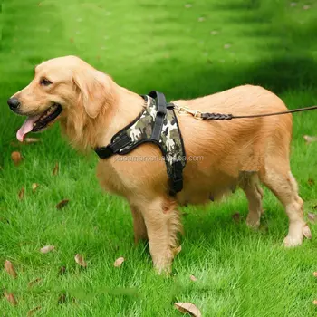 dog saddle harness