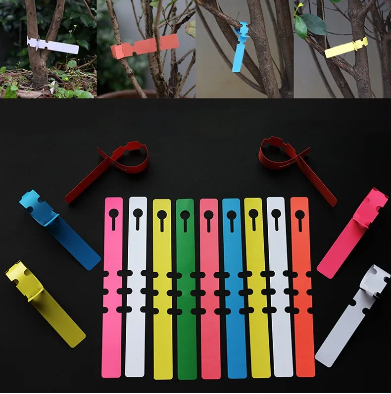 Taizhou Manufacture Hoop Plastic Plant Labels Wholesale Buy Plant Labels,Plastic Plant Labels