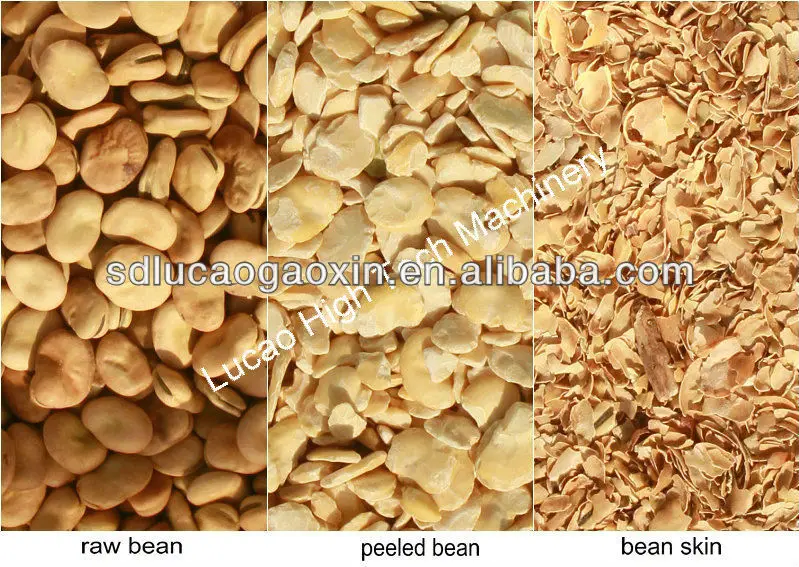 broad bean after peeling_1