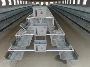 Best Sale Battery Chicken Cages In South Africanigeriakenyatanzania Buy Best Sale Battery Chicken Cageschicken Cage For Saleused Chicken Cages