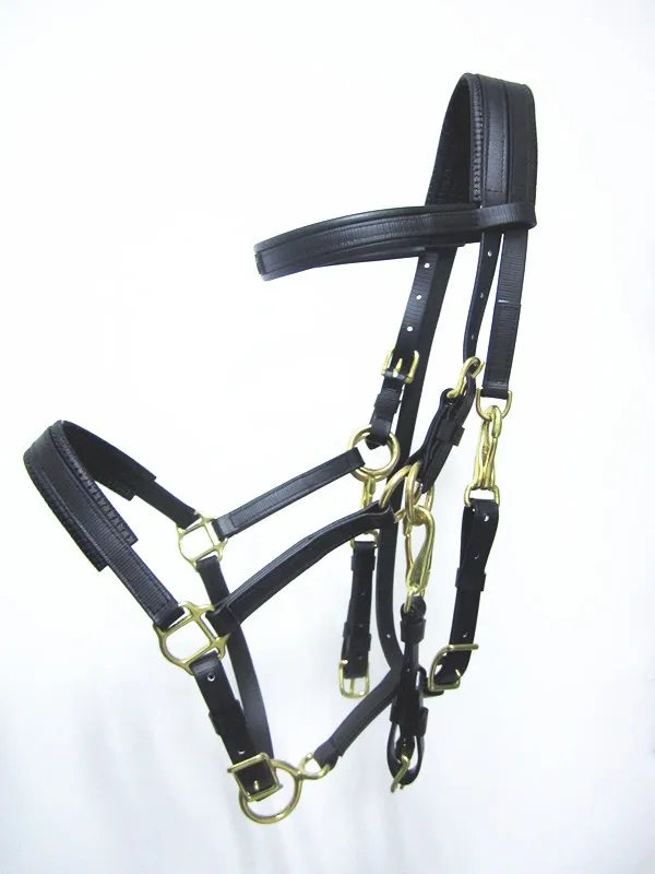 Synthetic Endurance Horse Racing Equipment Buy Horse Racing Equipment