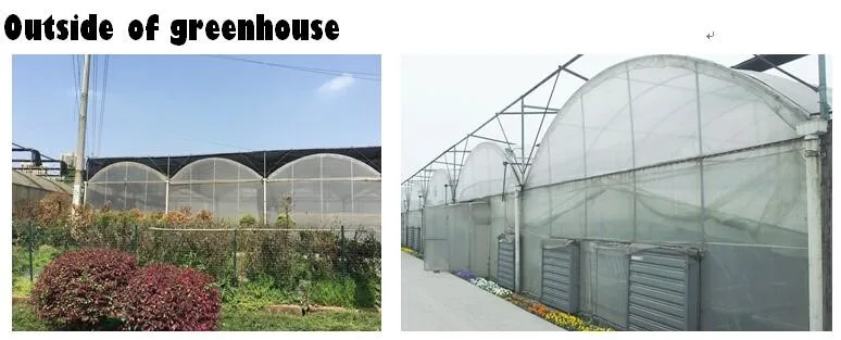 outside 01