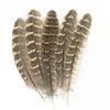 Natural Pheasant Tail Feathers 4-6 inch/10-15 cm Carnival Diy costume
