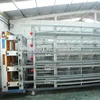 China wholesale poultry farm business plan in marathi language