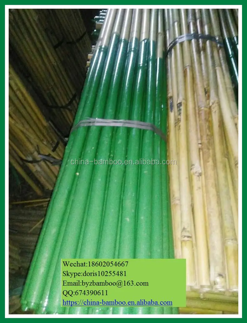 Bamboo Pole With Pvc Cover,Bamboo Cane With Pvc Coated .stoc Bamboo