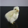 Spring Easter Chick Decor Realistic Baby Chick Lifelike Furry Chicken Figurine Rabbit Fur Animal Toy Easter Holiday Decoration