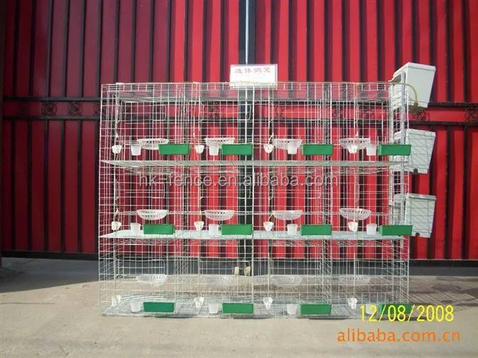 Quail Wire Mesh Cage Design Quail Cage And Water System Buy Design