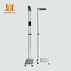 Adult weight scale weighing men and women