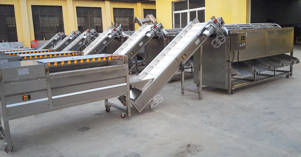 Avocado Sorter Machine