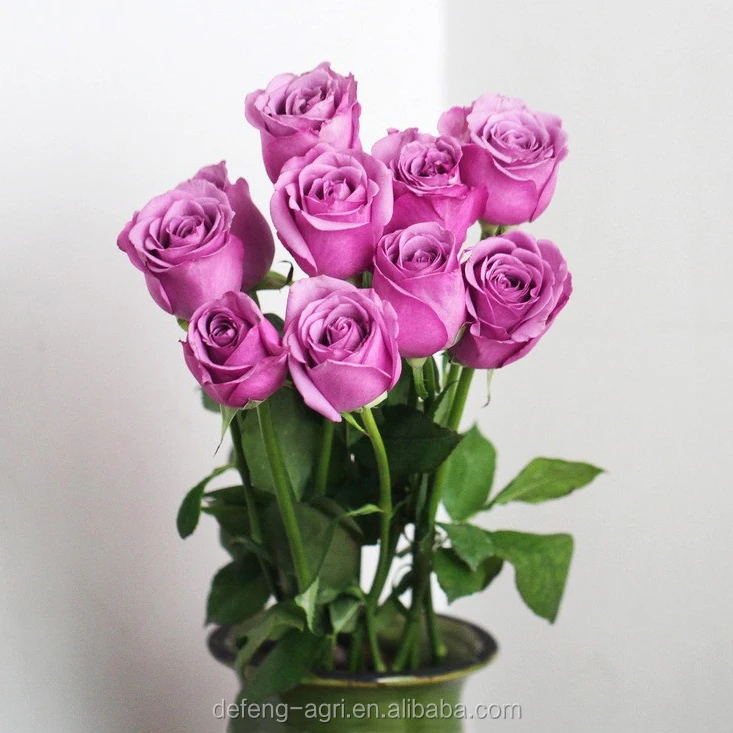beauty-3