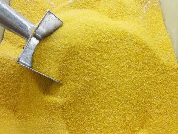 millet .jpg